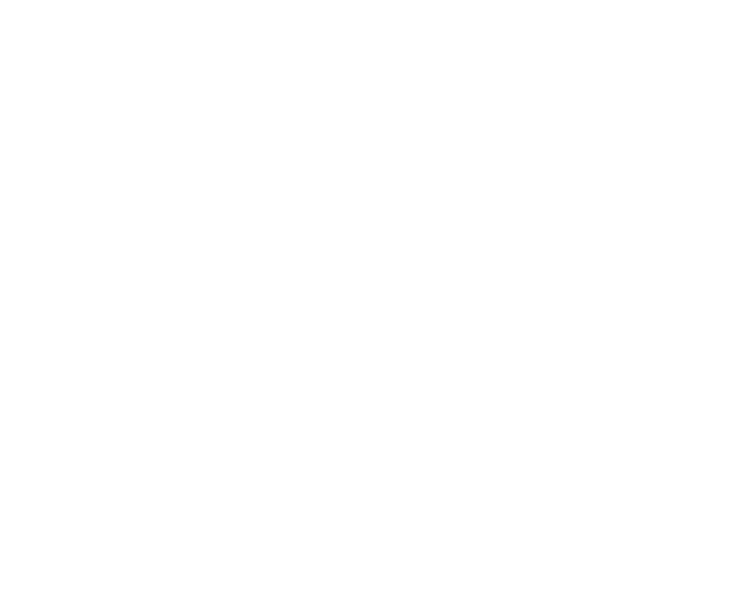 Rye School of English Logo